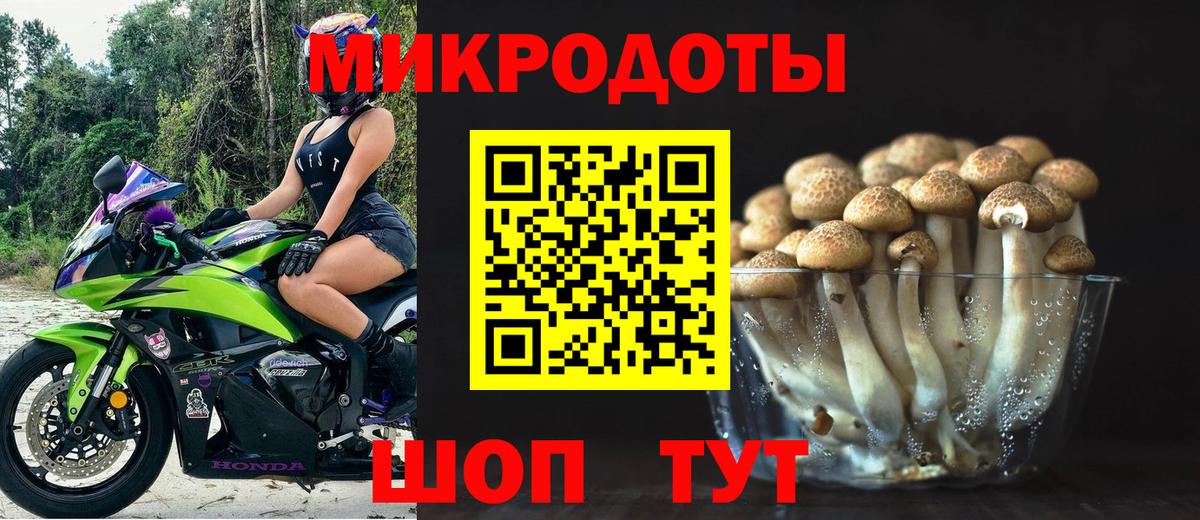 Галлюциногенные грибы Psilocybe  Псилоцибиновые грибы прущие грибы  Кызыл  Вход с VPN 