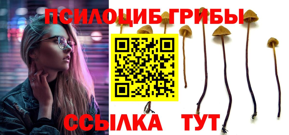 Каннабис Кызыл